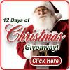 12 Days of Christmas Giveaway