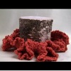 How To Crochet A Simple Center Piece