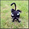 Coraline Cat