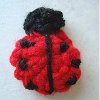 Spring Ladybug